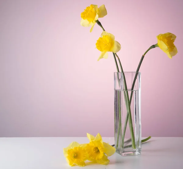 Narcissuses in a glass vase on a white table. — Stock Photo, Image