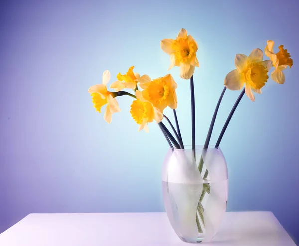 Narcisos em um vaso de vidro em uma mesa branca . — Fotografia de Stock