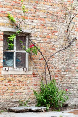 Bir duvar tuğla evin penceresinde