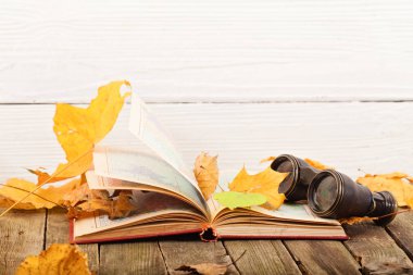 Açık kitap ve alan-cam sarı sonbahar yaprakları