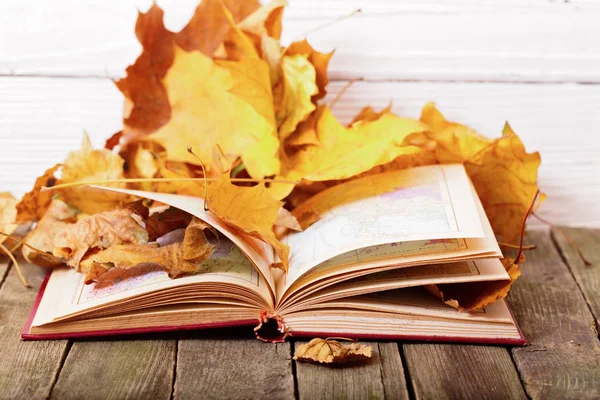 The open book with maps in yellow autumn leaves