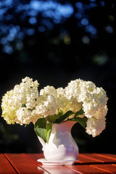 Hydrangea bouquet of flowers in a white jug — Stock Photo, Image