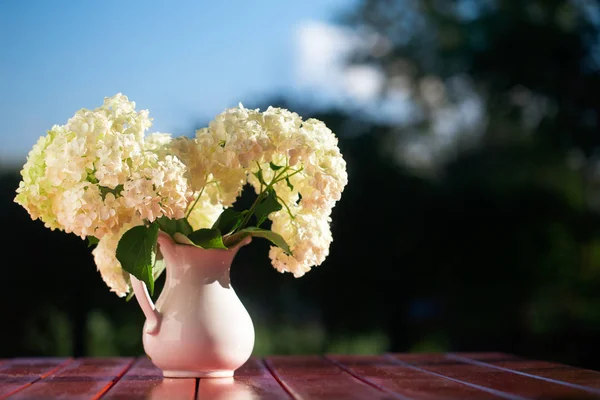 Hydrangea bouquet of flowers in a white jug — Stock Photo, Image