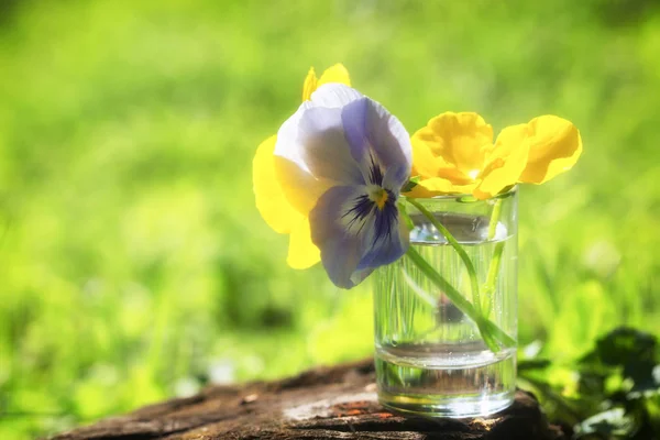 Flowers in a glass against the background of a green grass — Stock Photo, Image