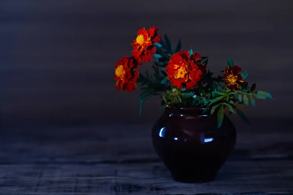 Marigold in a ceramic pot — Stock Photo, Image