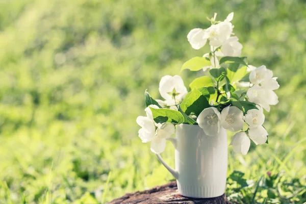Mock orange bouquet against the background of a green grass — Stock Photo, Image