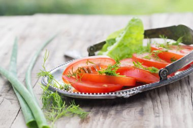 Domates kırsal tarzda üzerinden snack.
