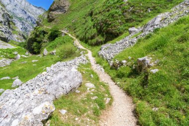 Patika Picos de Europa, dağlarda yaz güneşli da İspanya,