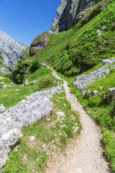 Patika dağlarda Picos de Europa, İspanya, yaz güneşli gün