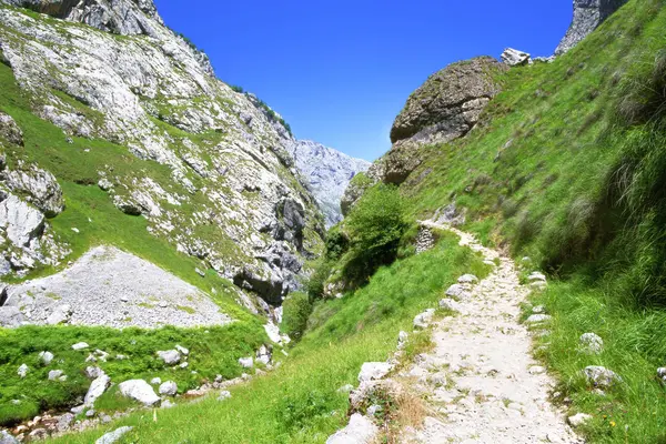 Patika Picos de Europa, dağlarda yaz güneşli da İspanya,