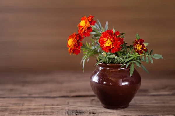 Calendula in un vaso di ceramica — Foto Stock