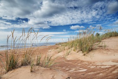 Sandy dunes üzerinde Ladoga sahil, Karelya, Rusya Federasyonu
