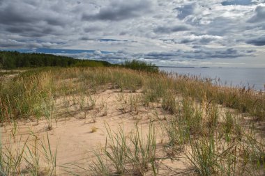Sandy dunes üzerinde Ladoga sahil, Karelya, Rusya Federasyonu