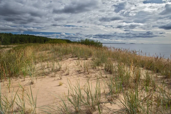 Sandy dunes üzerinde Ladoga sahil, Karelya, Rusya Federasyonu