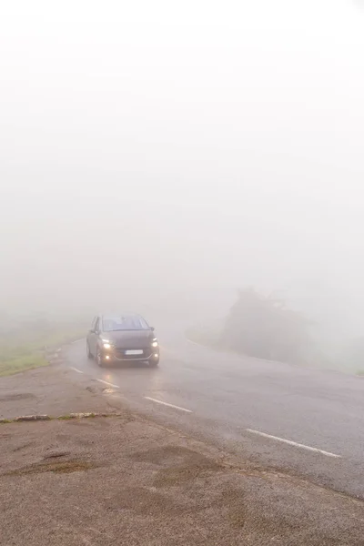 The car on the road in dense fog.