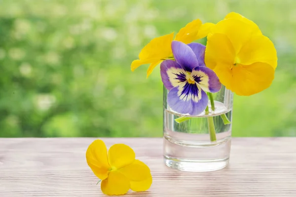Pansies in transparent glass with water. — Stock Photo, Image