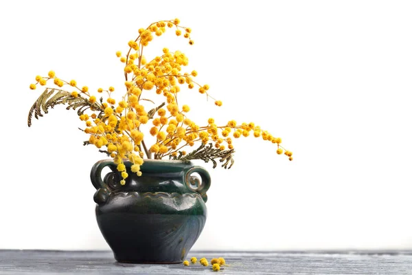 Yellow flowers of a mimosa in a ceramic vase on a white backgrou — Stock Photo, Image