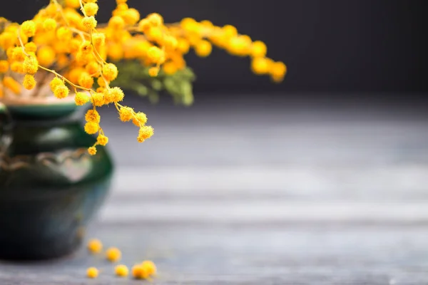 Flores amarillas de una mimosa en un jarrón de cerámica sobre un fondo negro —  Fotos de Stock