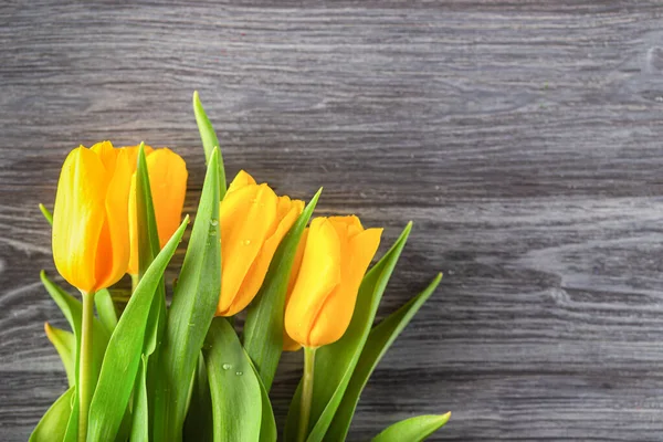 Tulipas frescas amarelas com gotas de água em uma placa cinza em um estilo rústico . — Fotografia de Stock