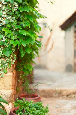 İspanya 'da eski bir Avrupa şehrindeki bir evin duvarına tırmanmak.