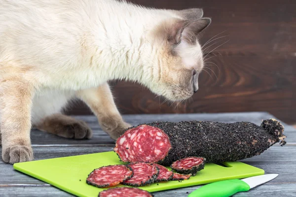 A cat sits on a table and sniffs a sliced smoked sausage.