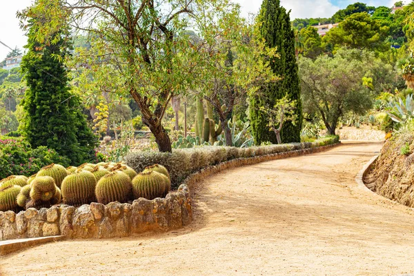A path among cacti and succulents in the Pinya de Rosa succulent garden in Spain.