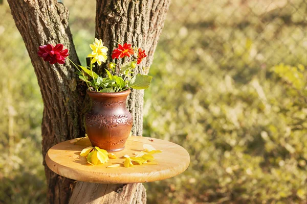 Un mazzo di dalie autunnali su un tavolo di legno in giardino . — Foto Stock