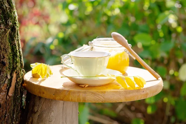 Чаепитие в саду у дерева в солнечный осенний день . — стоковое фото