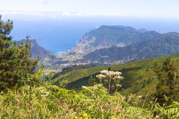 Вид на узбережжя океану з вершини гір на острові Мадейра (Таїра). — стокове фото