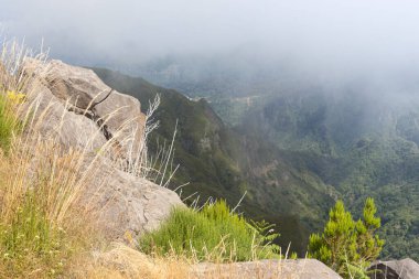 Güneşli bir yaz gününde Portekiz 'in Madeira dağlarında turist gezisi.
