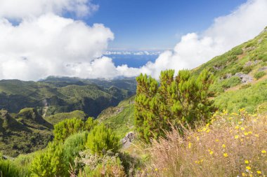 Güneşli bir yaz gününde Portekiz 'in Madeira dağlarında turist gezisi.