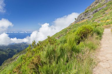 Güneşli bir yaz gününde Portekiz 'in Madeira dağlarında turist gezisi.