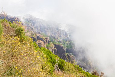 Güneşli bir yaz gününde Portekiz 'in Madeira dağlarında turist gezisi.