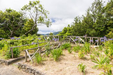 Portekiz 'in Madeira dağlarındaki izleme noktasında tahta bir çit.