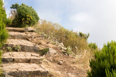 Portekiz 'in Madeira dağlarında bir yürüyüş yolunda taş bir merdiven..
