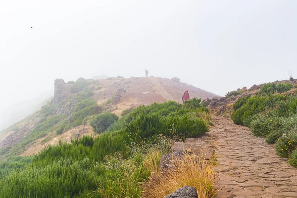 Туристична стежка в горах Мадейра від Піко - ду - Руїво до Піко - ду - Арієйро. — стокове фото