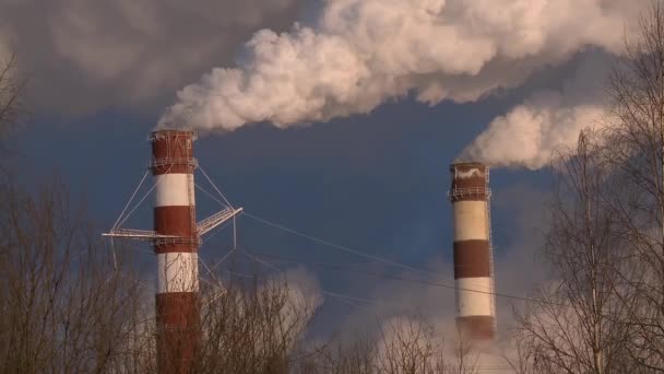 The smoke from the chimney. The production of paper. Emissions. — Stock Video