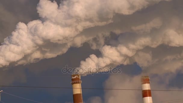 El humo de la chimenea. La producción de papel. Emisiones . — Vídeos de Stock