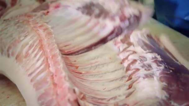 Ouvrier découper un morceau de viande dans la production — Video