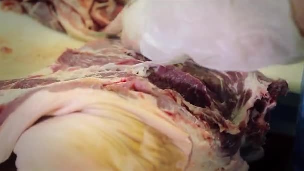 Worker cut up a piece of meat in the production — Stock Video