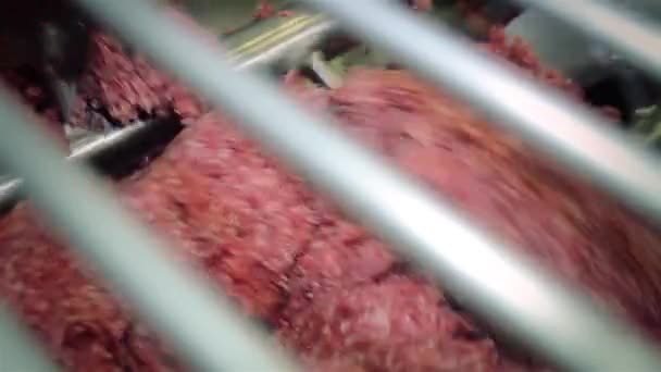 新鲜的肉是绞成碎肉生产的肉类产品香肠，汉堡 — 图库视频影像