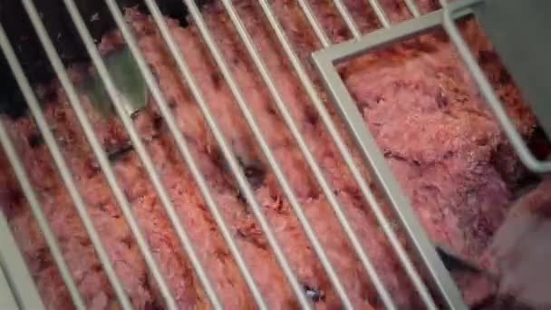 Carne fresca se muele en carne molida para la producción de productos cárnicos embutidos, hamburguesas — Vídeos de Stock