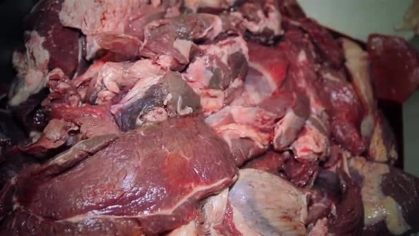 Шматочки яловичини в м'ясопромисловості — стокове відео
