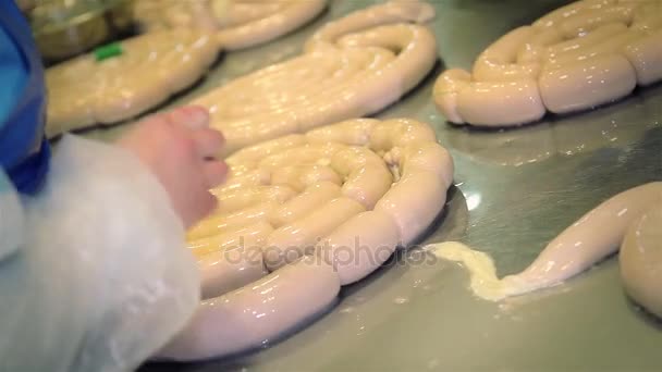 Fabricant de saucisses dans l'industrie de la viande — Video