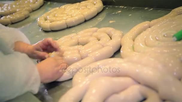 Fabricant de saucisses dans l'industrie de la viande — Video