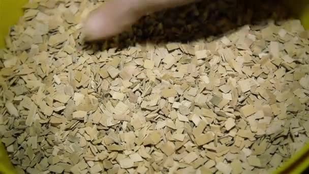 Beuken naturel chips voor roken vis en worst — Stockvideo