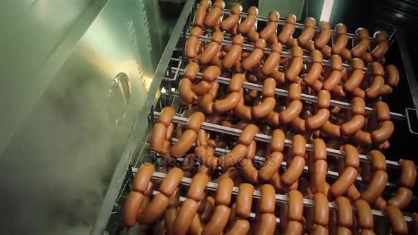 Salsichas são fumadas na fumaça . — Vídeo de Stock