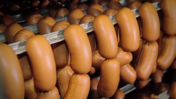 Winkel van het eindproduct. Worst, wieners. — Stockvideo