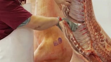 İşçi domuz leşini yemek için hazırlar. Et dükkanı.