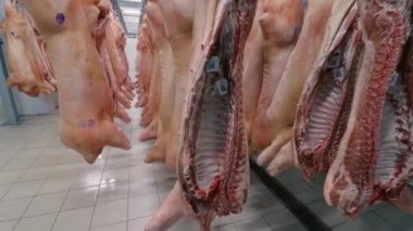 Et için buzdolabı. Yarım leşler kancalara tutunur..